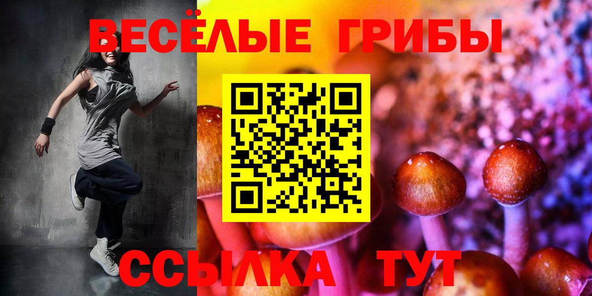Псилоцибиновые грибы Psilocybine cubensis Хабаровск