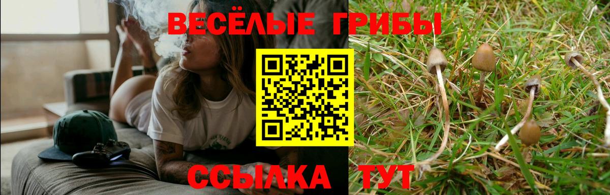 Хабаровск  Псилоцибиновые грибы Psilocybine cubensis  Вход с VPN 